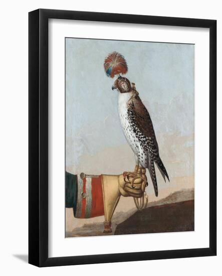 Icelandic Gerfalcon, 1759-German School-Framed Giclee Print