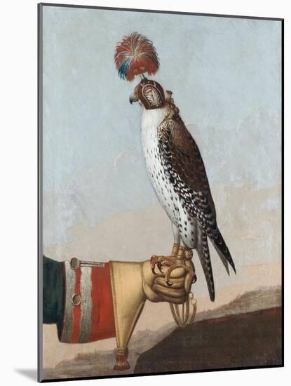 Icelandic Gerfalcon, 1759-German School-Mounted Giclee Print