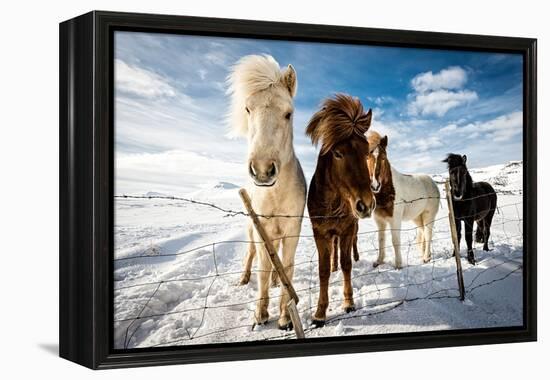 Icelandic Hair Style-Mike Leske-Framed Premier Image Canvas