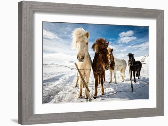 Icelandic Hair Style-Mike Leske-Framed Photographic Print