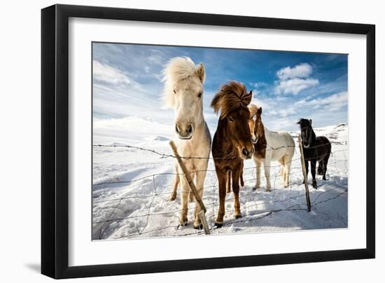 Icelandic Hair Style-Mike Leske-Framed Photographic Print