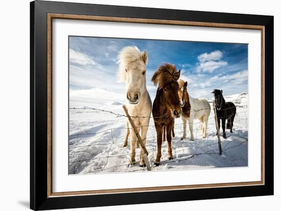 Icelandic Hair Style-Mike Leske-Framed Photographic Print