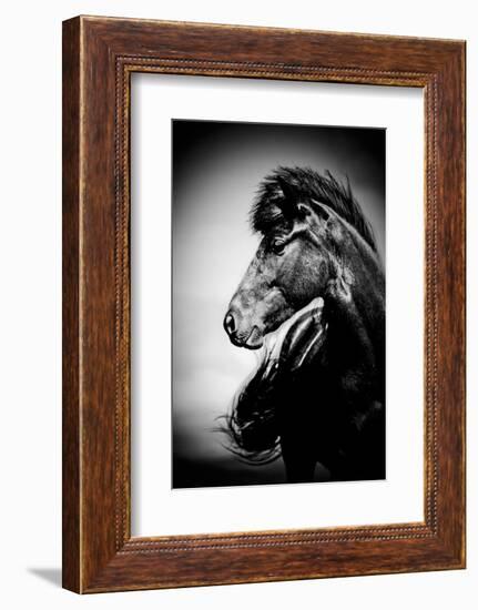 Icelandic Horse, Iceland-Panoramic Images-Framed Photographic Print