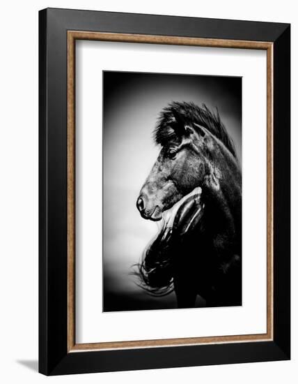 Icelandic Horse, Iceland-Panoramic Images-Framed Photographic Print