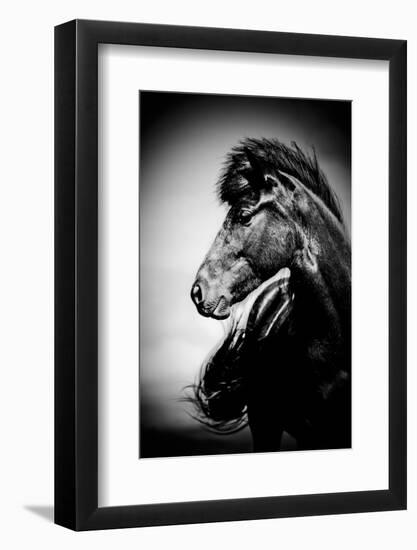 Icelandic Horse, Iceland-Panoramic Images-Framed Photographic Print