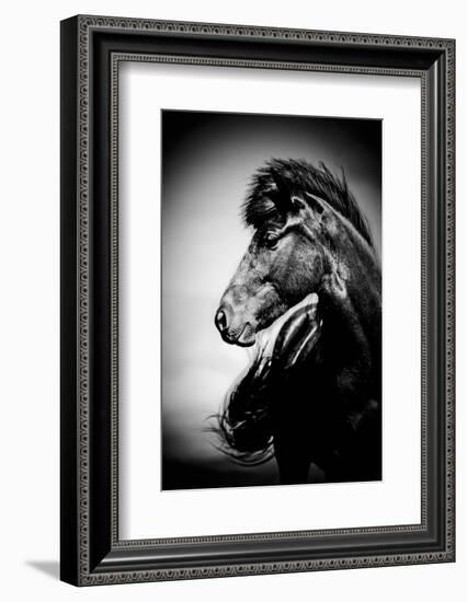 Icelandic Horse, Iceland-Panoramic Images-Framed Photographic Print