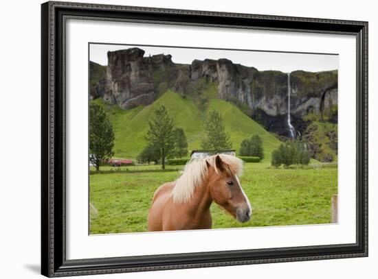 Icelandic Horse Near Waterfall-Paul Souders-Framed Photographic Print