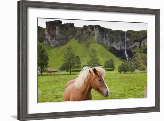 Icelandic Horse Near Waterfall-Paul Souders-Framed Photographic Print