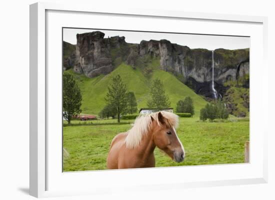 Icelandic Horse Near Waterfall-Paul Souders-Framed Photographic Print