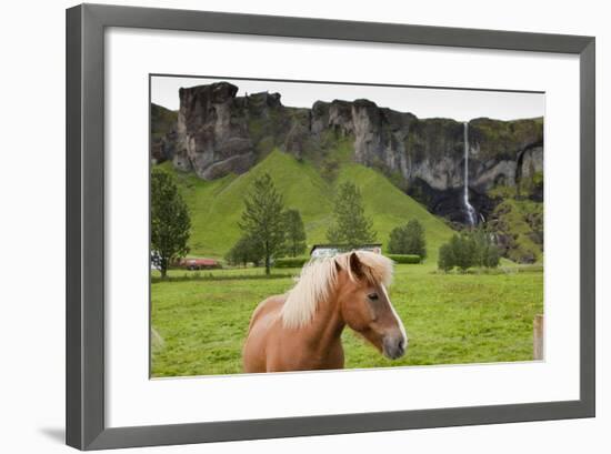 Icelandic Horse Near Waterfall-Paul Souders-Framed Photographic Print