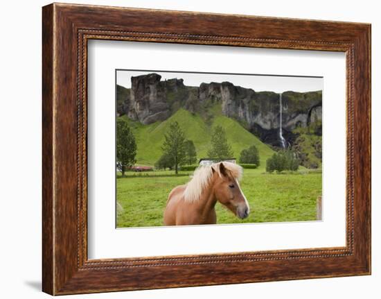 Icelandic Horse Near Waterfall-Paul Souders-Framed Photographic Print