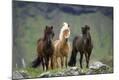 Premium Photographic Print