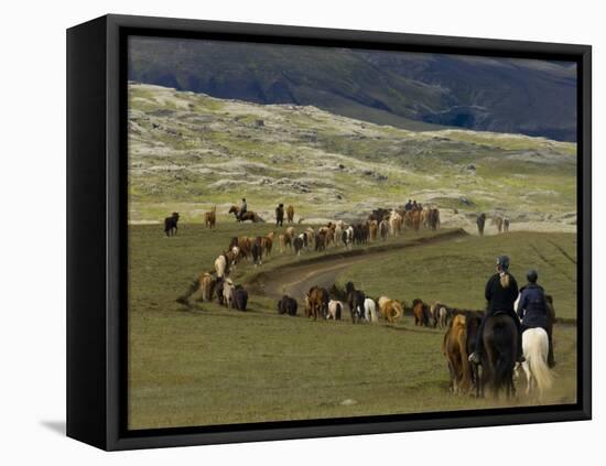 Icelandic Horses and Riders, Riding Near Landmannalaugar, Iceland-Inaki Relanzon-Framed Premier Image Canvas