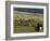 Icelandic Horses and Riders, Riding Near Landmannalaugar, Iceland-Inaki Relanzon-Framed Photographic Print