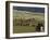 Icelandic Horses and Riders, Riding Near Landmannalaugar, Iceland-Inaki Relanzon-Framed Photographic Print