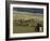 Icelandic Horses and Riders, Riding Near Landmannalaugar, Iceland-Inaki Relanzon-Framed Photographic Print