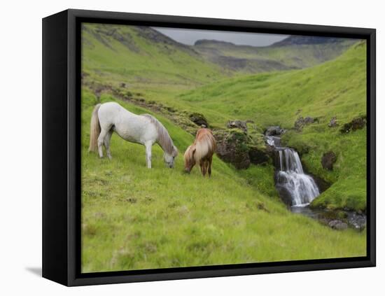 Icelandic Horses I-PHBurchett-Framed Premier Image Canvas