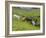 Icelandic Horses I-PHBurchett-Framed Photographic Print