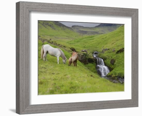 Icelandic Horses I-PHBurchett-Framed Photographic Print