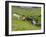 Icelandic Horses I-PHBurchett-Framed Photographic Print