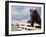 Icelandic Horses in Windswept Pasture Near Gullfoss Waterfall on Summer Morning, Iceland-Paul Souders-Framed Photographic Print