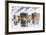 Icelandic Horses in Winter Pasture Near Hofn, Iceland-Chuck Haney-Framed Photographic Print