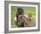 Icelandic Horses IV-PHBurchett-Framed Photographic Print