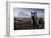 Icelandic Horses Near Ash Plume from Eyjafjallajokull Eruption-null-Framed Premium Photographic Print