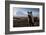 Icelandic Horses Near Ash Plume from Eyjafjallajokull Eruption-null-Framed Photographic Print