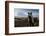 Icelandic Horses Near Ash Plume from Eyjafjallajokull Eruption-null-Framed Photographic Print