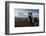 Icelandic Horses Near Ash Plume from Eyjafjallajokull Eruption-null-Framed Photographic Print