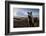 Icelandic Horses Near Ash Plume from Eyjafjallajokull Eruption-null-Framed Photographic Print