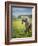 Icelandic Horses VIII-PHBurchett-Framed Photographic Print