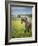 Icelandic Horses VIII-PHBurchett-Framed Photographic Print