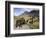 Icelandic Horses With Volcanic Mountains in the Distance, South Iceland, Iceland, Polar Regions-Lee Frost-Framed Photographic Print