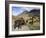 Icelandic Horses With Volcanic Mountains in the Distance, South Iceland, Iceland, Polar Regions-Lee Frost-Framed Photographic Print