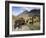 Icelandic Horses With Volcanic Mountains in the Distance, South Iceland, Iceland, Polar Regions-Lee Frost-Framed Photographic Print