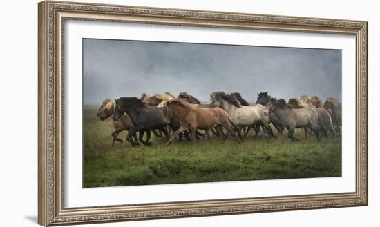 Icelandic Horses XIII-PHBurchett-Framed Photographic Print