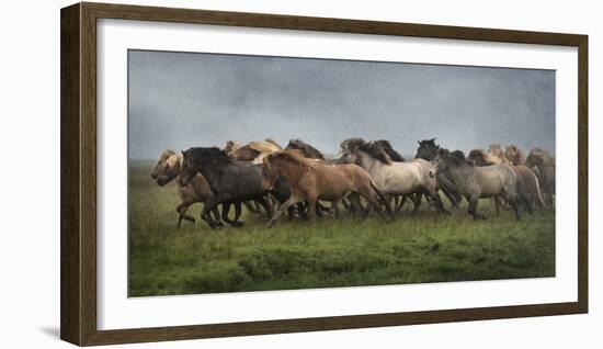 Icelandic Horses XIII-PHBurchett-Framed Photographic Print