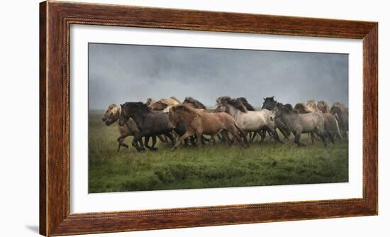 Icelandic Horses XIII-PHBurchett-Framed Photographic Print