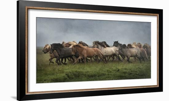 Icelandic Horses XIII-PHBurchett-Framed Photographic Print