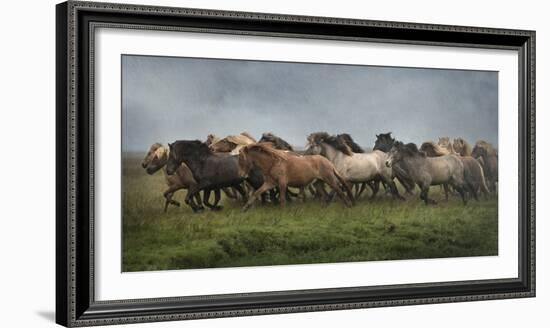 Icelandic Horses XIII-PHBurchett-Framed Photographic Print