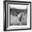 Icelandic Ponies, Iceland-Paul Souders-Framed Photographic Print