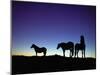 Icelandic Ponies Silhouetted against the Evening Sky-Arctic-Images-Mounted Photographic Print