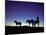 Icelandic Ponies Silhouetted against the Evening Sky-Arctic-Images-Mounted Photographic Print