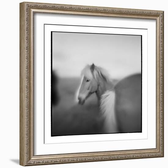 Icelandic Pony, Iceland-Paul Souders-Framed Photographic Print