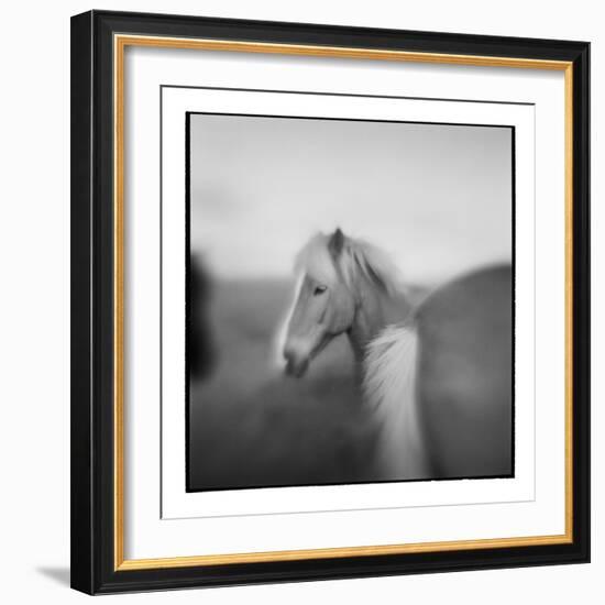 Icelandic Pony, Iceland-Paul Souders-Framed Photographic Print