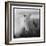 Icelandic Pony, Iceland-null-Framed Photographic Print