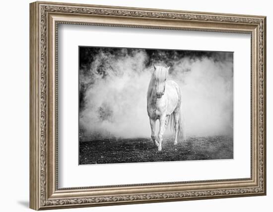 Icelandic pony-Jeffrey C. Sink-Framed Photographic Print