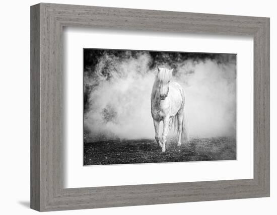 Icelandic pony-Jeffrey C. Sink-Framed Photographic Print